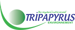 Tripapyrus